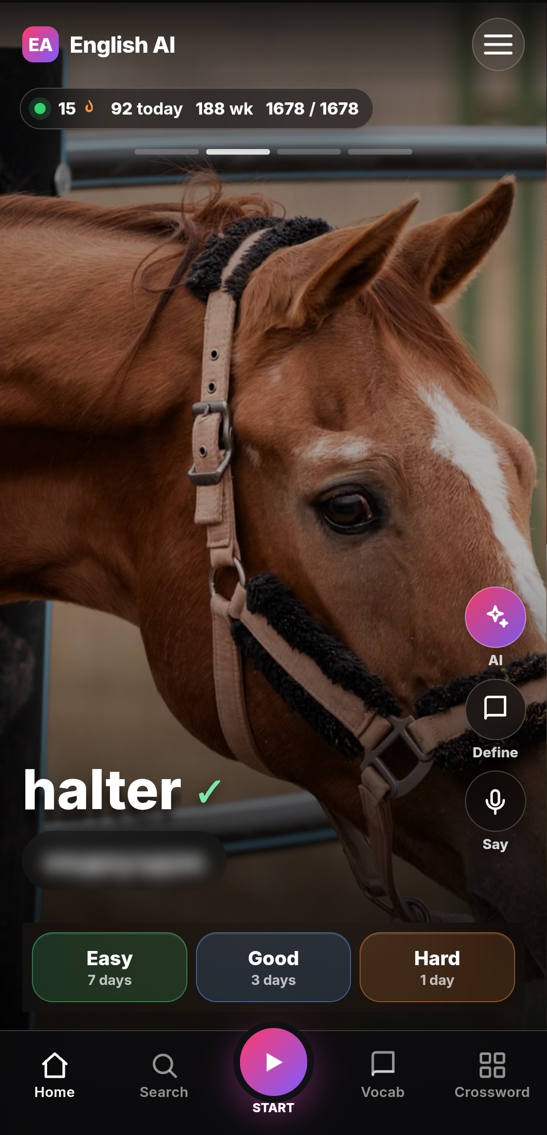 English AI showing a visual example for the word halter